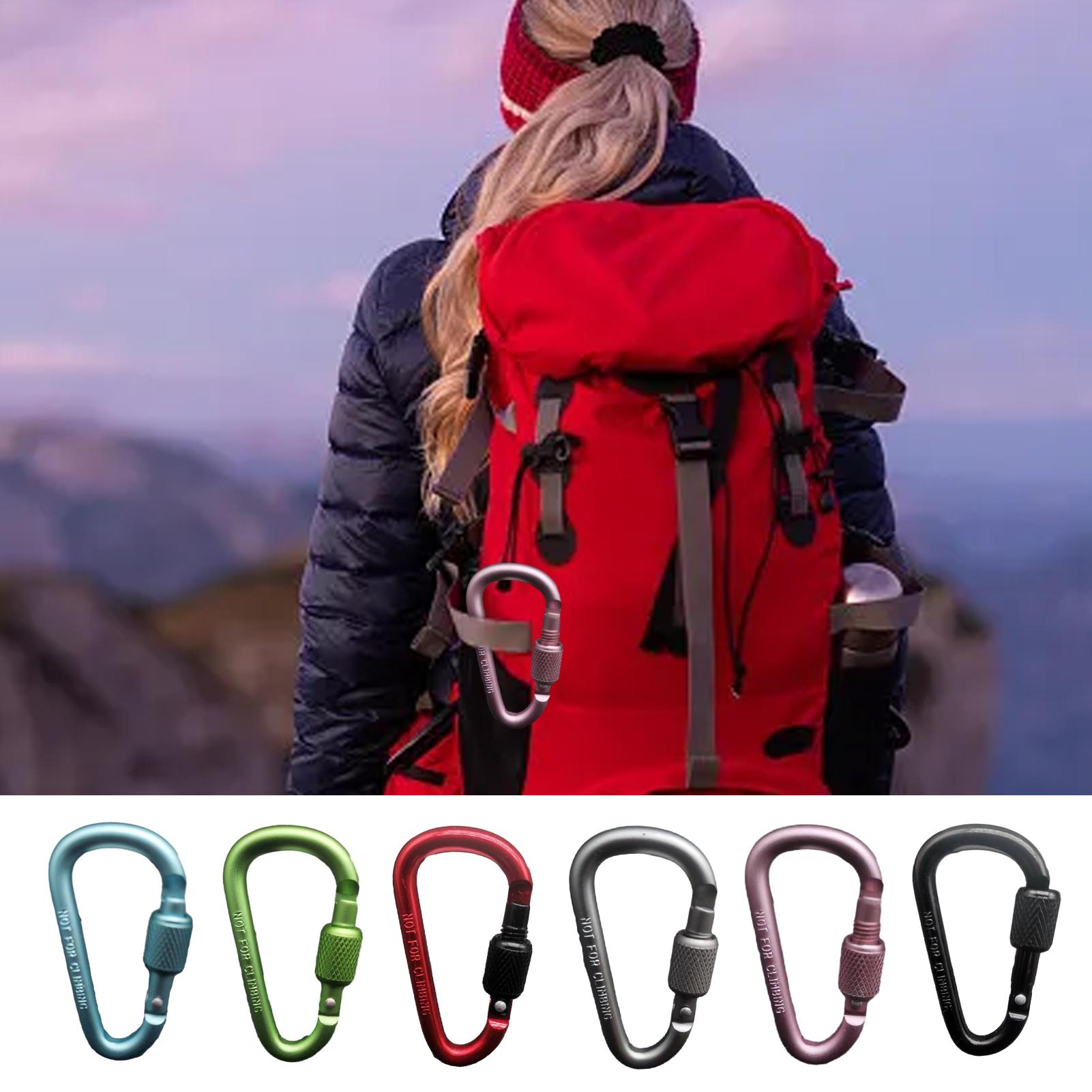 Carabiner Locking D - คาราไบเนอร์รูปตัว D อลูมิเนียมสำหรับใช้งานกลางแจ้ง พร้อมตัวล็อค ใช้เป็นพวงกุญแจ คลิปหนีบกระเป๋า
