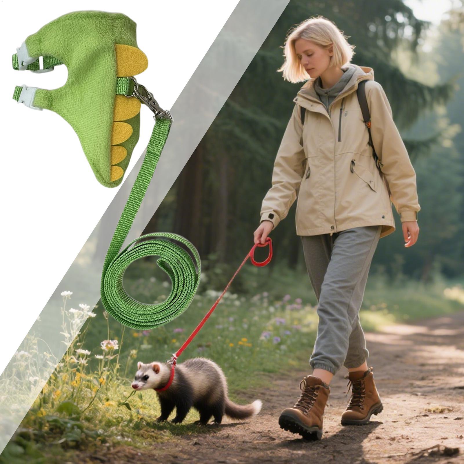 ชุดสายรัดและสายจูงสัตว์เลี้ยงข - Outdoor Adventure Walks บทวิจารณ์และราคา
