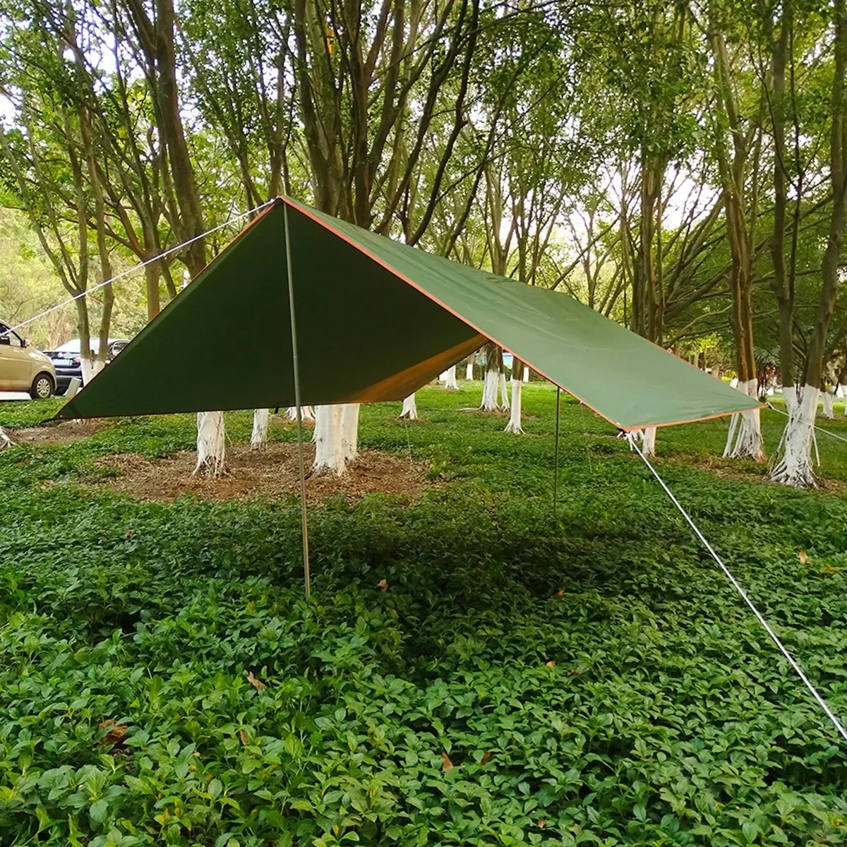 ผ้าใบกันน้ำสำหรับตั้งแคมป์ เต็ - Hammock Rain Tarp บทวิจารณ์และราคา