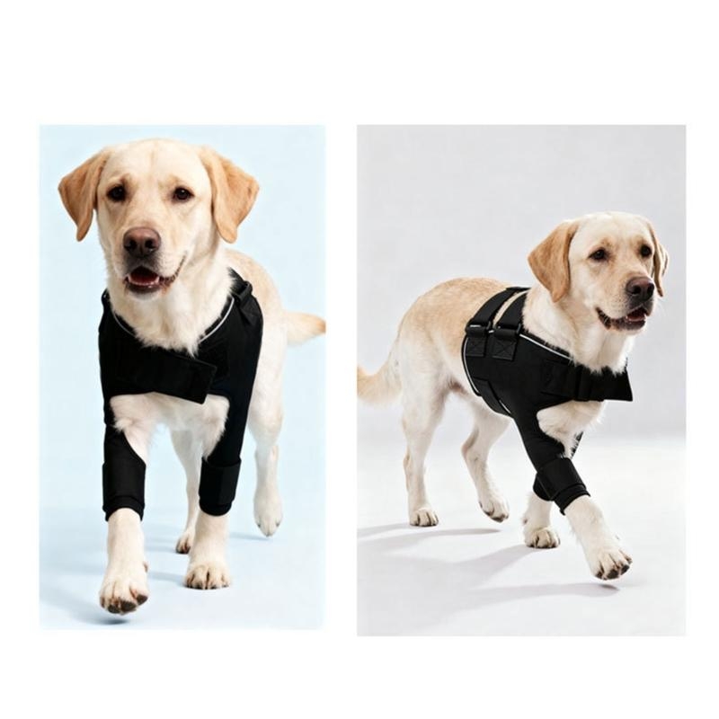 เครื่องช่วยพยุงไหล่สุนัขที่สะด - Outdoor Adventure Walks บทวิจารณ์และราคา