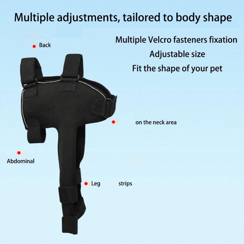เครื่องช่วยพยุงไหล่สุนัขที่สะด - Outdoor Adventure Walks บทวิจารณ์และราคา