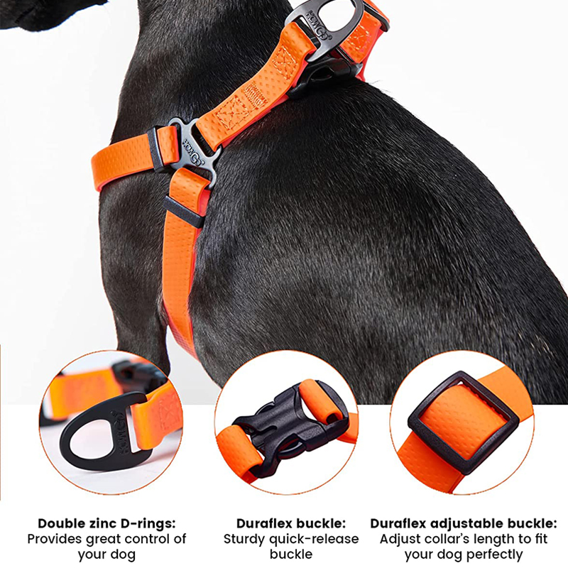 สายรัดสุนัขแบบปรับได้ สายรัดสั - Outdoor Adventure Walks บทวิจารณ์และราคา