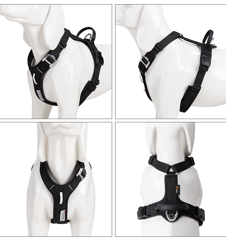 ปรับป้องกันการระเบิดบนสายรัดสุ - Outdoor Adventure Walks บทวิจารณ์และราคา